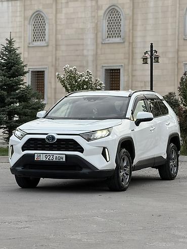 Toyota RAV4: 2019 г., 2.5 л, Автомат, Гибрид, Кроссовер