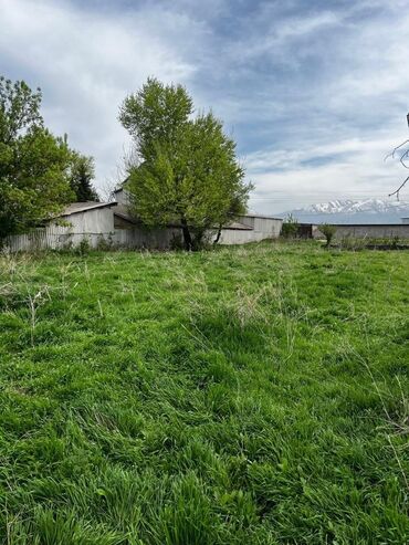 земельные участки таласе: 20 соток, Для строительства, Красная книга