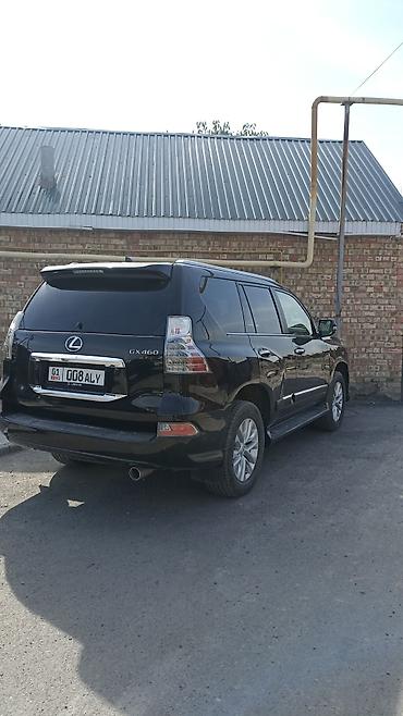 Lexus: Lexus GX: 2019 г., 4.6 л, Автомат, Бензин, Внедорожник — 1