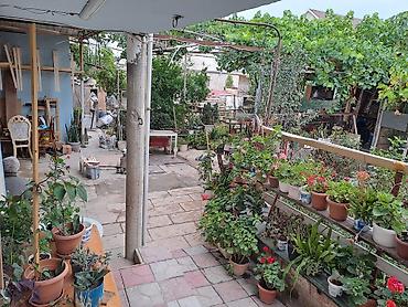 Hazır biznes: 6 sotda 2 ev 1i 150(1ci mertebe)+150(2ci mertebe) cemi 300 kvm Digeri — 3