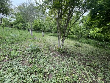 Torpaq sahələrinin satışı: 7 sot, Tikinti, Mülkiyyətçi, Kupça (Çıxarış) -da lalafo.az — 8 Torpaq sahələrinin satışı: 7 sot, Tikinti, Mülkiyyətçi, Kupça (Çıxarış) — 8