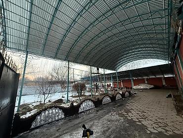 Навесы: Навес, Арочный, Металл, Поликарбонат — 6