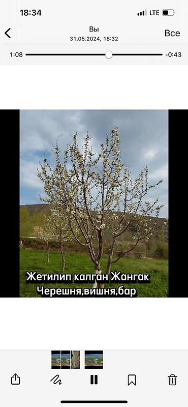 Продажа участков: 60 соток — 10