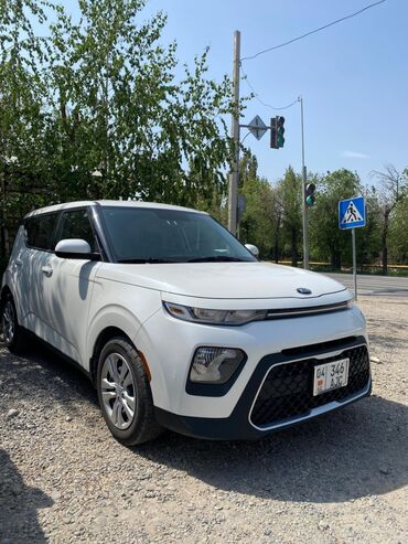 продажа киа соул: Kia Soul: 2019 г., 2 л, Автомат, Бензин, Хэтчбэк