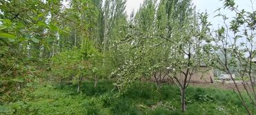 Продажа домов: Дача, 20 м², 6 комнат, Собственник, Евроремонт — 22