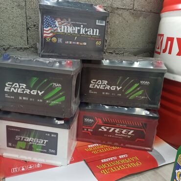 зарядные устройства для автомобильных аккумуляторов: Аккумулятор 100 и более Ач, Новый, США, Платная доставка