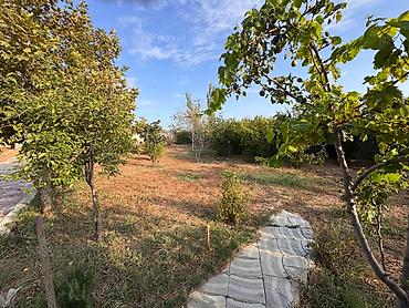 Torpaq: 4 sot, Mülkiyyətçi, Kupça (Çıxarış) — 10