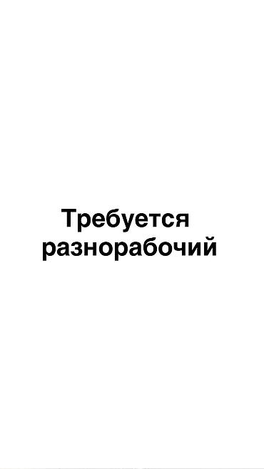 очистка газовых котлов: Требуется разнорабочий на подработку ( с 8:00 или 9:00 - 19:00 ) — 1