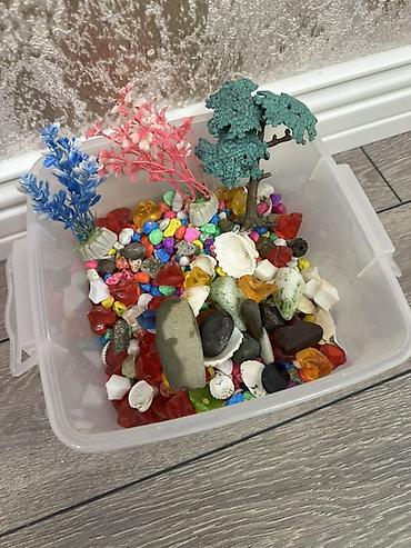 Akvariumlar: Dördbucaq akvarium, Boş, 6 l, Ünvandan götürmə — 9