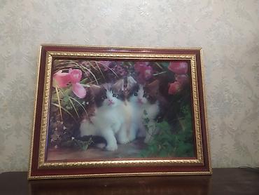 pişik kartinka: 3 D formatlı divar rəsmi iki 🐈 pişik balası. sınığı qırığı yoxdur — 1