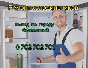 холодильник дордой: Ремонт холодильников мастера по ремонту холодильников