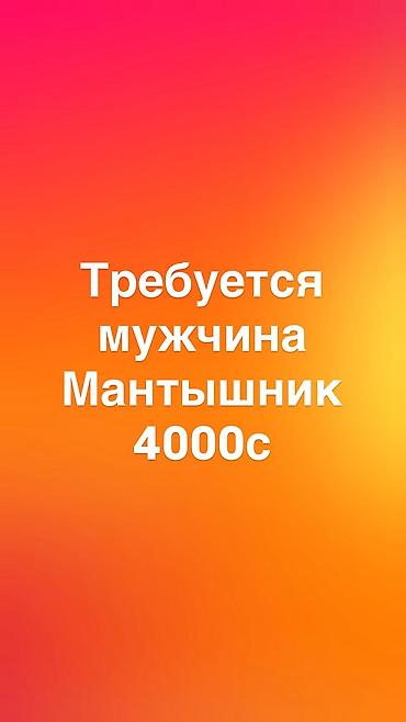 Требуется мантышник оплата каждый день