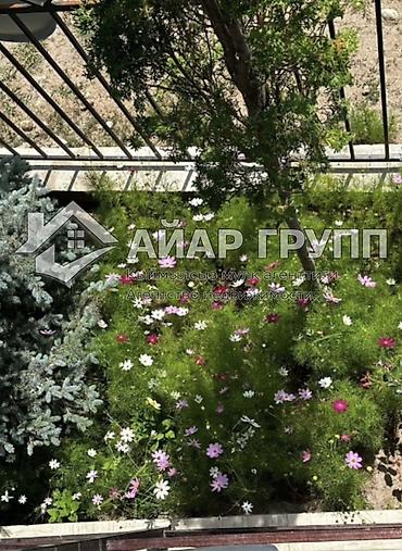 Продажа отелей и хостелов: ✅ СРОЧНО!!! Продается гостевой дом на Иссык-Куле 📍с.Чон-Сарыой (между — 2