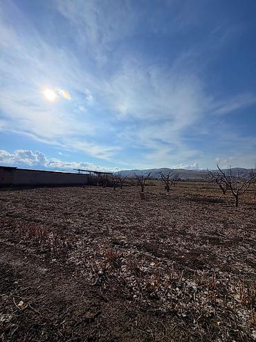 Продажа коттеджей и домов: 🚨🔥 СРОЧНАЯ ПРОДАЖА! ДОМ ПОД ПСО В АРЧАЛЫ — ВИД, ПРОСТОР И ЗЕМЛЯ В — 10