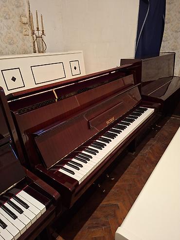 Piano, Petrof, Akustik, Yeni, Pulsuz çatdırılma lalafo.az -da Piano, Petrof, Akustik, Yeni, Pulsuz çatdırılma