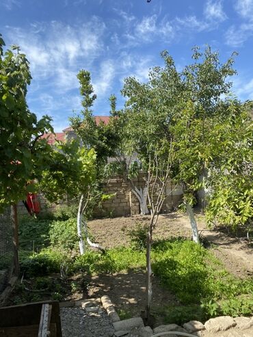 Həyət evləri və villaların satışı: 5 otaqlı, 180 kv. m, Yeni təmirli — 4