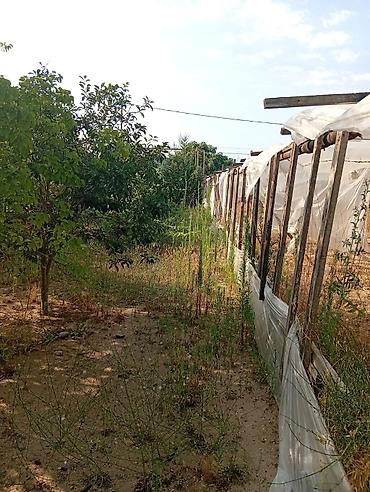 bine sovxoz evler: Bakı, Dübəndi, 5 otaqlı, Köhnə tikili, 1200 kv. m — 9