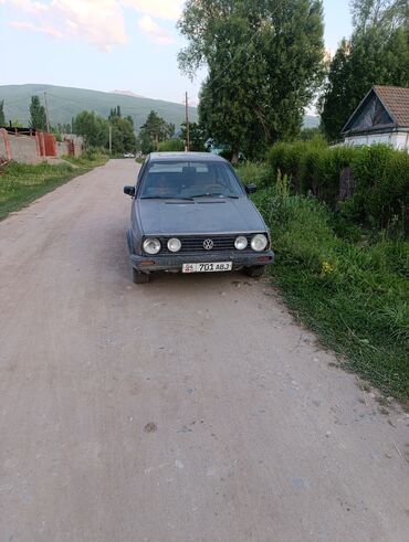 опель фронтера а: Volkswagen Golf: 1989 г., 1.8 л, Механика, Бензин, Хэтчбэк
