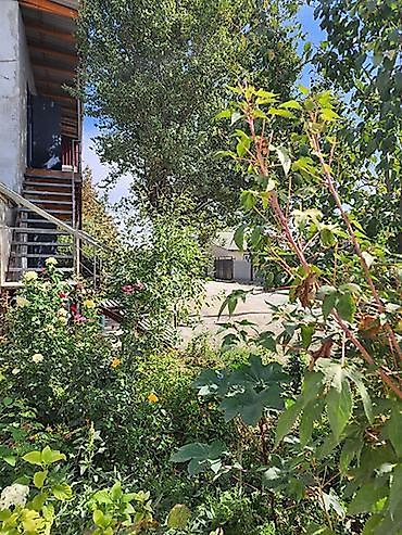 аренда квартир акбосого: 50 м², 2 комнаты — 5