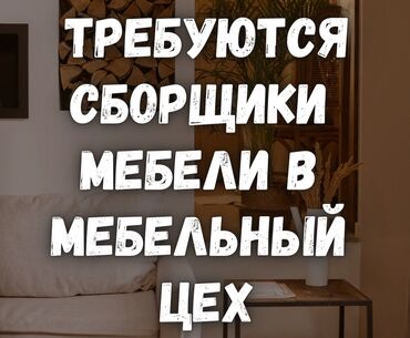 раритет мебель: Талап кылынат Кураштыруучу, Төлөм Келишим түрдө, 3-5 жылдык тажрыйба