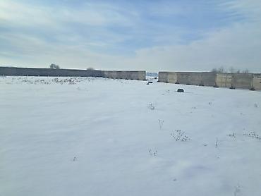 Продажа участков: 20 соток, Для сельского хозяйства, Красная книга, Тех паспорт — 15