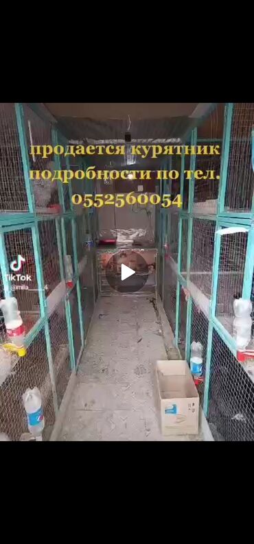 тоок баасы: Продаётся вальер длина 4 м ширина 3 высота 2,5 м есть криша