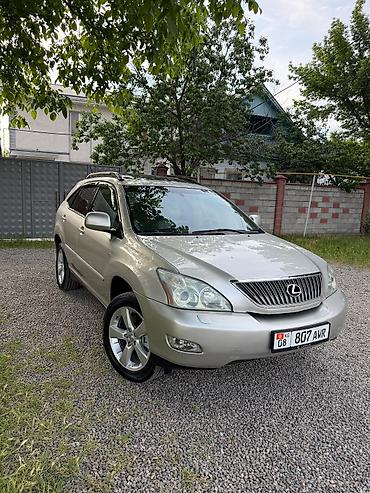 Lexus: Lexus RX: 2004 г., 3.3 л, Автомат, Газ, Универсал — 4
