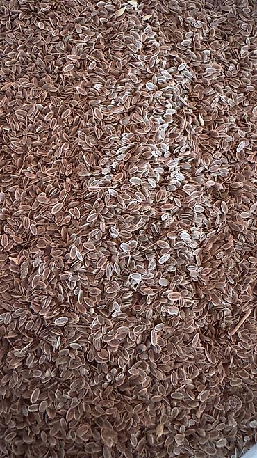 Toxumlar: ✨ 4 Mövsüm ✨ 🌱 Artıq evinizdə və bağçanızda təbii, dərmansız və — 4