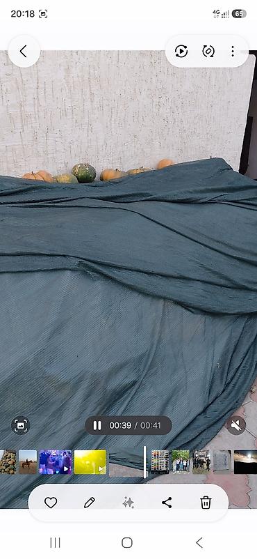 тыква ромашка: Ассалом алейкум туугандар. Аш кабак сатылат болжол менен 15 тонна бар — 6