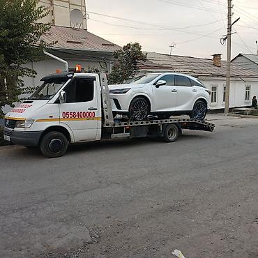daf tandem: С лебедкой — 1