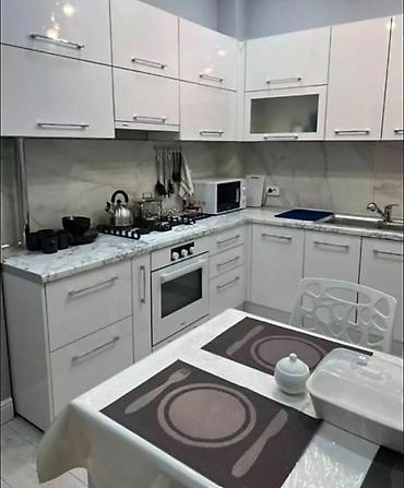 кв филармония: 2 комнаты, 60 м², Филармония Элитка, 10 этаж, Косметический ремонт — 5