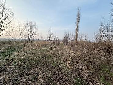 Продажа другой коммерческой недвижимости: 📌"В урочище ""Широкий"" Нарзан а/о продается кошара, дом из 4-х комнат — 8