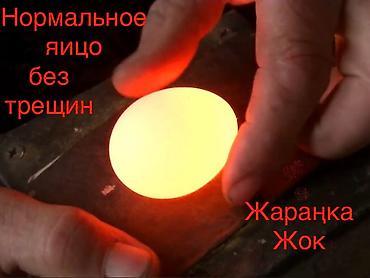 куплю куры: Инкубационные яица ( Чистокровная порода Легорнн белый стандарт) — 3