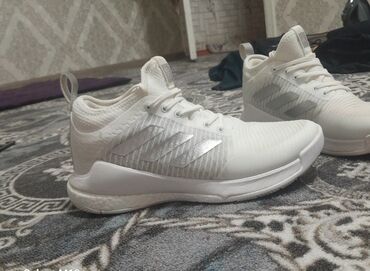 обувь 45 размер: Мужские кроссовки, 42, Adidas, Новый, цвет - Белый, Бесплатная доставка