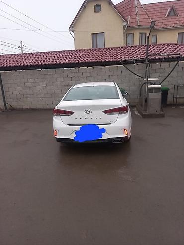 Hyundai: Hyundai Sonata: 2018 г., 2 л, Автомат, Бензин, Седан — 1