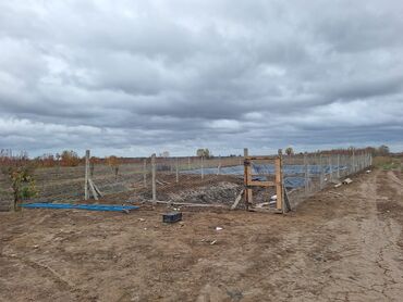 Torpaq sahələrinin satışı: 508 sot, Kənd təsərrüfatı, Kupça (Çıxarış) — 3