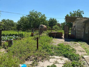 Həyət evləri və villaların satışı: Şemkir şeheri, Elperest Hüseynov küçesi, ev 122 Yeni qaydalarla — 6