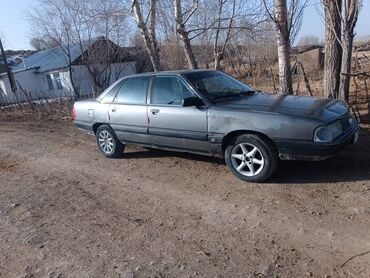 Audi: Audi 100: 1988 г., 2 л, Механика, Бензин