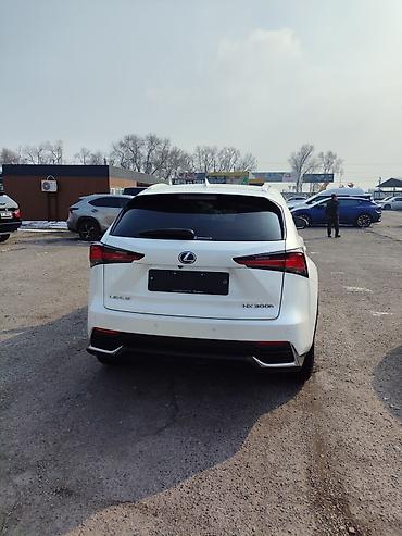 Lexus: Lexus NX: 2019 г., Гибрид, Кроссовер — 5