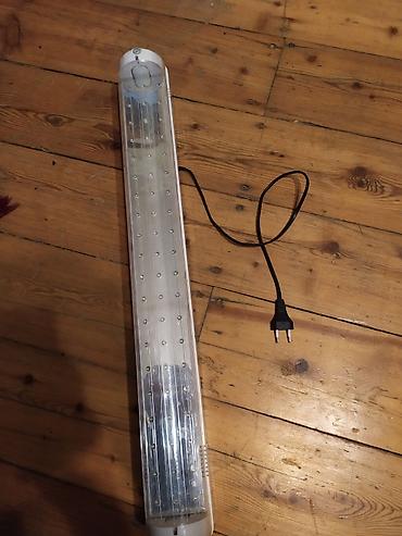 yağış işıqlar: Pelsan Aydınlatma 60 LED-li İşıldaq (Model: 5061-113) - Gərilim — 2