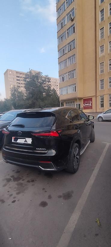 lync co: Lexus NX: 2018 г., 2.5 л, Гибрид — 5