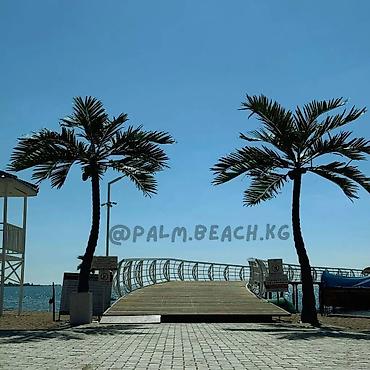 palma beach: Аренда квартиры на Иссык-Куле, Palm Beach, Чок-Тал, 6 мест, Цена Целиком за жилье — 6