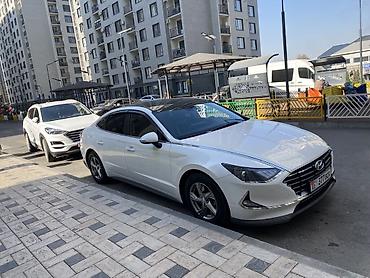 динам: Hyundai Sonata: 2019 г., 2 л, Автомат, Бензин, Седан — 6