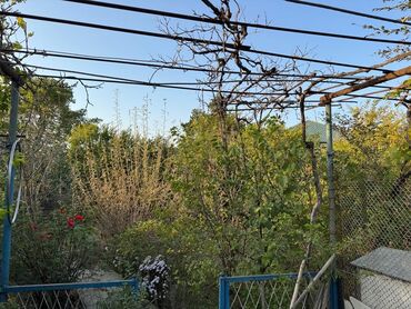 xacmaz gunluk evler: 4 sot, Tikinti, Mülkiyyətçi, Kupça (Çıxarış)