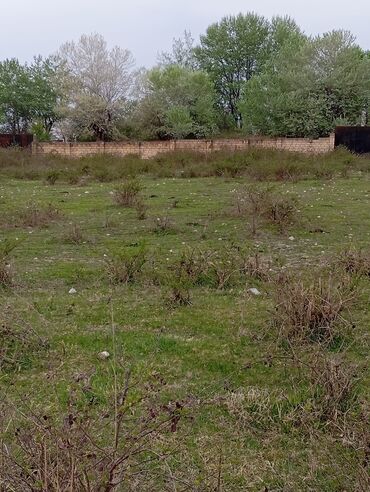 Torpaq sahələrinin satışı: 12 sot, Kənd təsərrüfatı, Mülkiyyətçi, Kupça (Çıxarış), Bələdiyyə -da lalafo.az — 5 Torpaq sahələrinin satışı: 12 sot, Kənd təsərrüfatı, Mülkiyyətçi, Kupça (Çıxarış), Bələdiyyə — 5