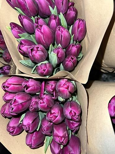 Букеты из живых цветов: Тюльпаны - Сорт: нежно-розовые тюльпаны с мягкой желтой каймой на — 18