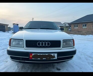 Audi: Audi 100: 1992 г., 2.3 л, Механика, Газ, Универсал