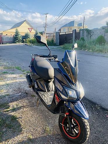 vario: Скутер/мопед 50–125 см³, спортивный дизайн - Кузов: агрессивная — 2
