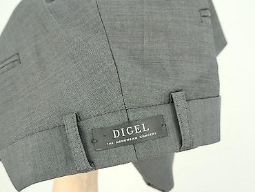 psa: DIGEL, Spodnie garniturowe męskie, rozmiar L — 5