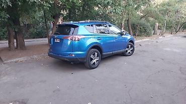 Частная аренда авто: Автопарк ЭДЕМ АВТО предлагает свои услуги по аренде автомобилей — 15